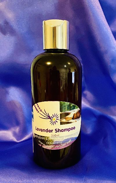 Lavender Shampoo SLS free